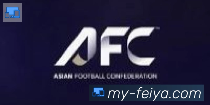 飞亚体育合作伙伴